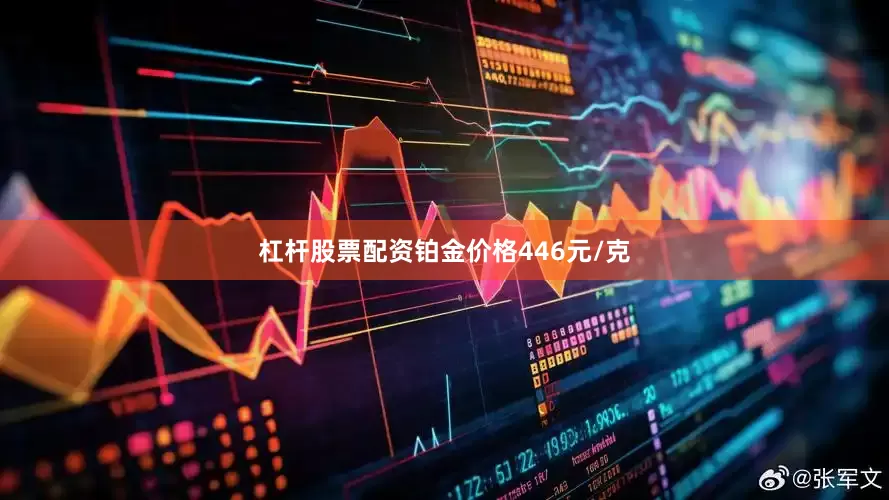杠杆股票配资铂金价格446元/克