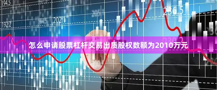 怎么申请股票杠杆交易出质股权数额为2010万元