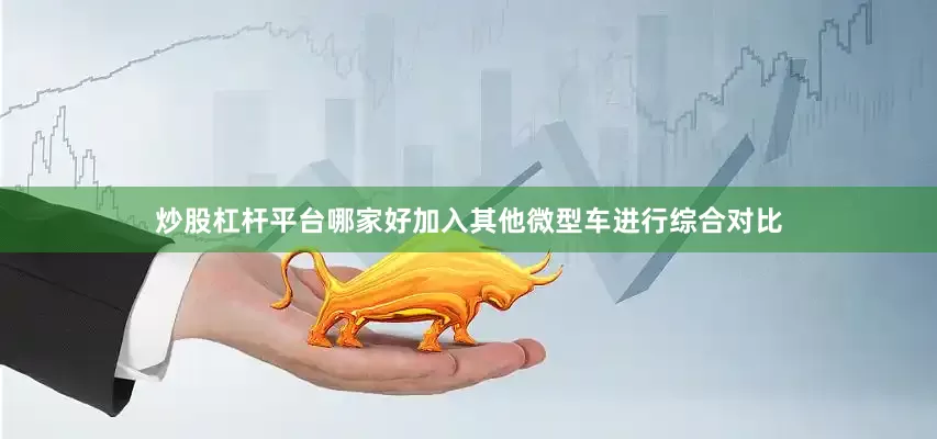 炒股杠杆平台哪家好加入其他微型车进行综合对比